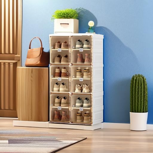 6-Layer Magnetic Clear Door Shoe Organizer