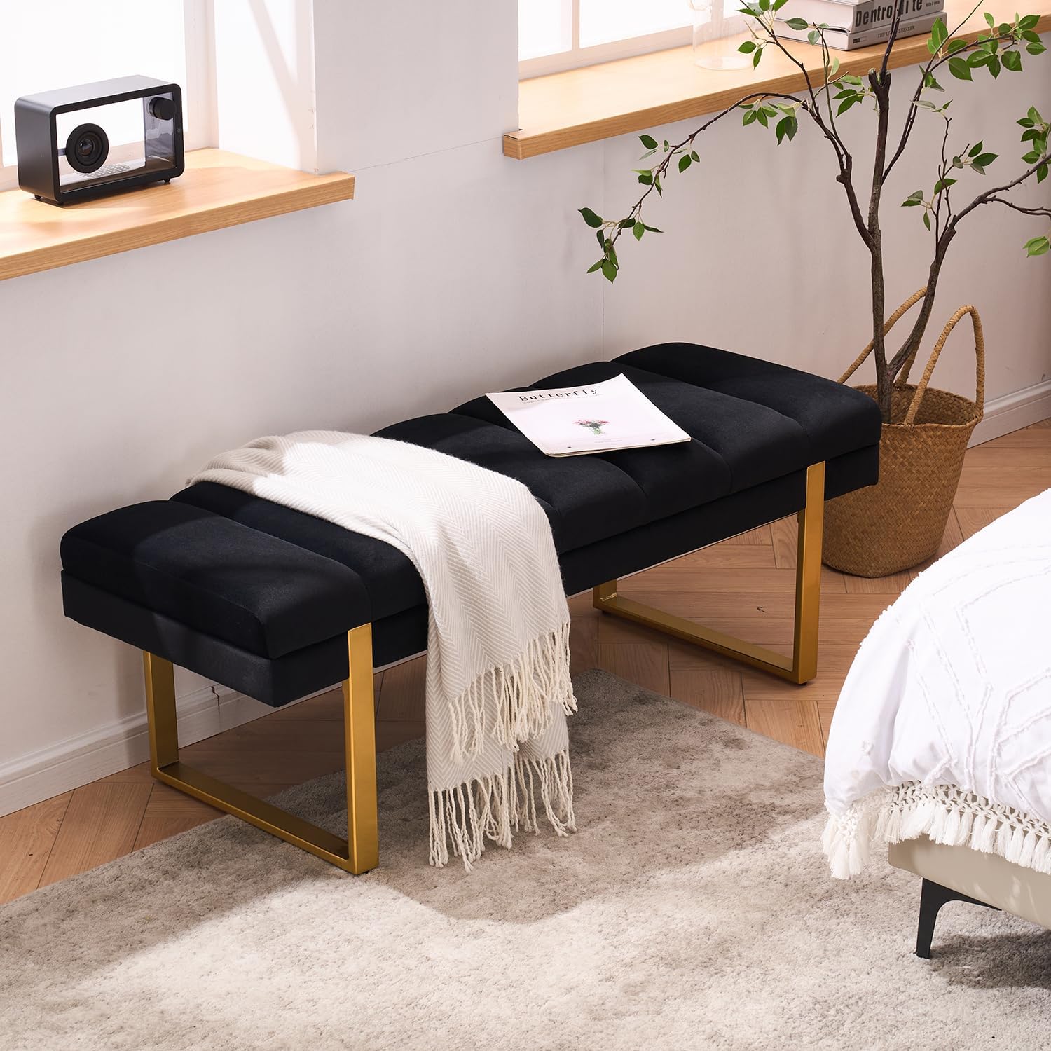 46" Black Velvet Bench with Gold Legs