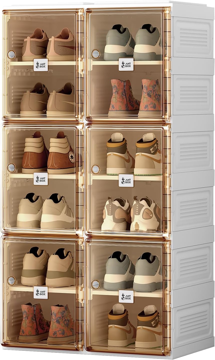 6-Layer Magnetic Clear Door Shoe Organizer