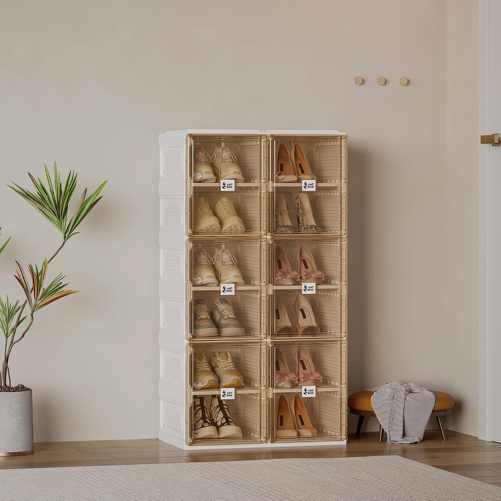 6-Layer Magnetic Clear Door Shoe Organizer